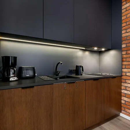 Rakowicka Brick Near Station By Renters Daire *